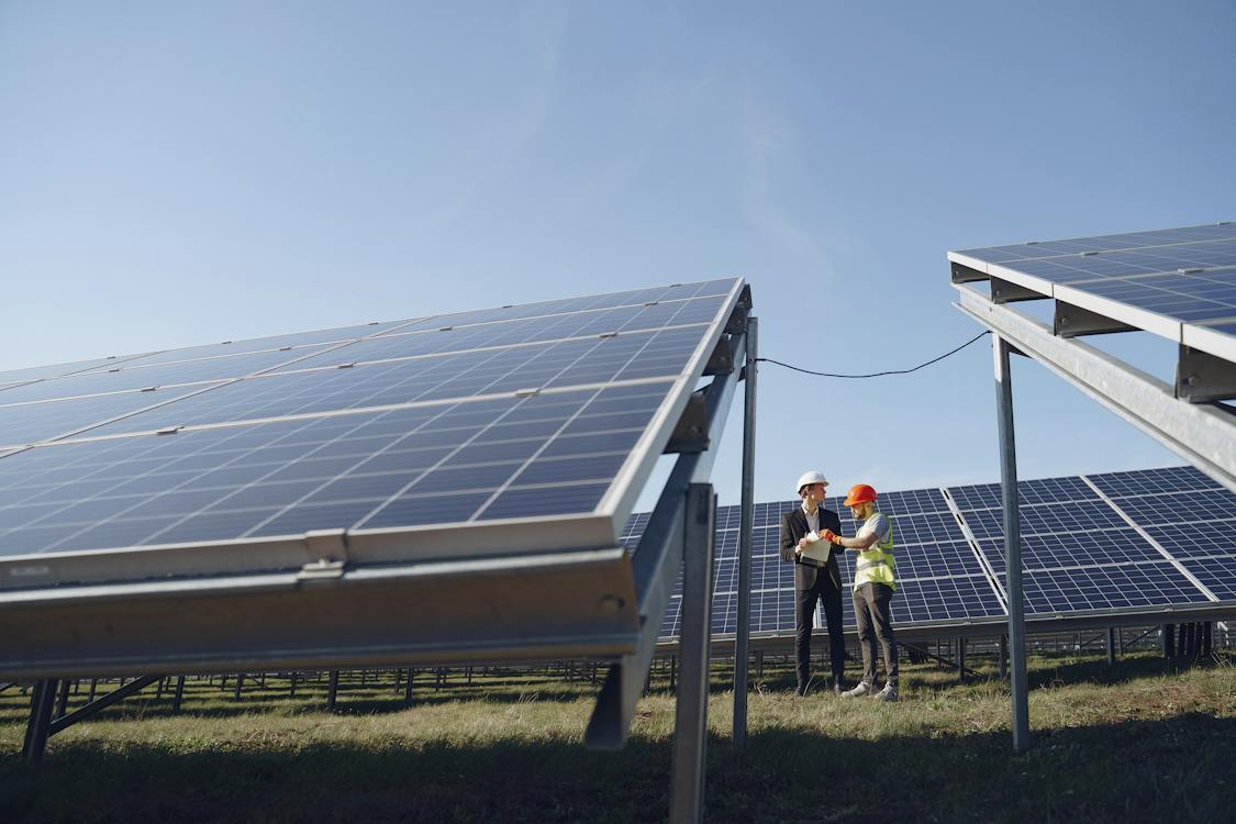 Embrace the future with sustainable IT and services